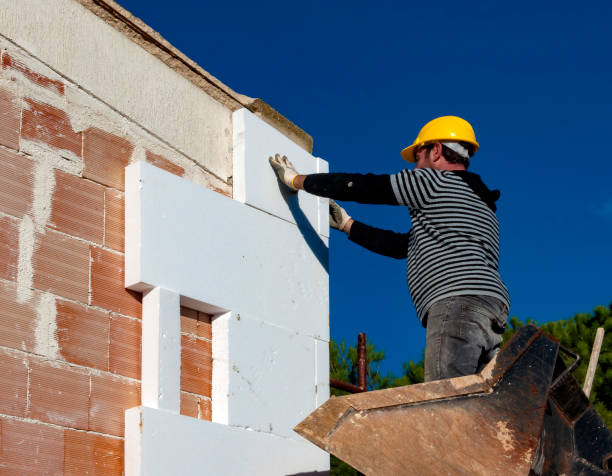 Best Insulation Maintenance and Repair in Rural Hill, TN