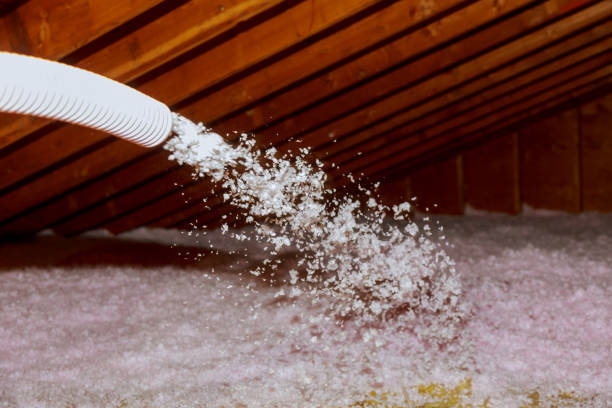Best Energy Efficiency Insulation in Rural Hill, TN