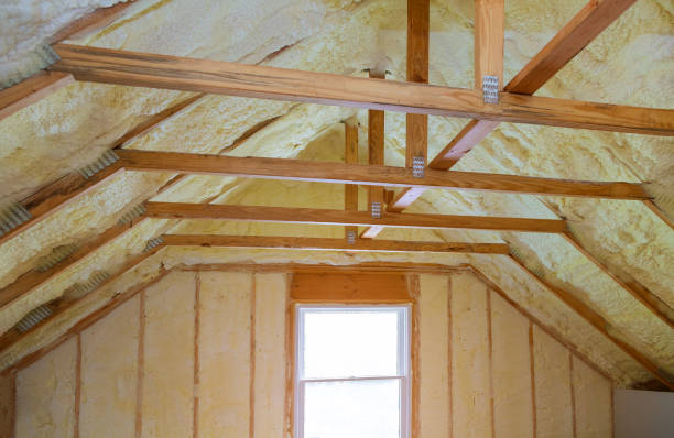 Best Blown-in Insulation in Rural Hill, TN