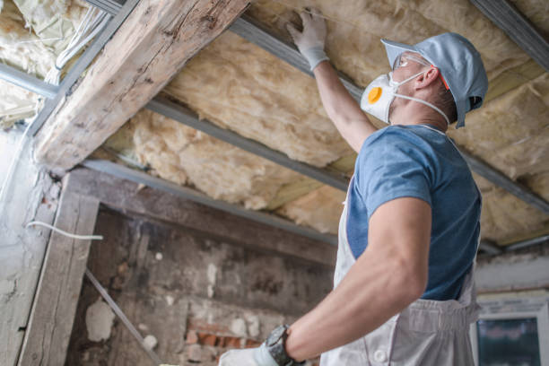 Best Commercial Insulation in Rural Hill, TN