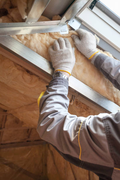 Best Specialized Insulation Services in Rural Hill, TN